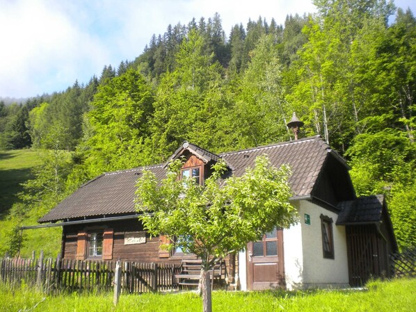 Exteriör