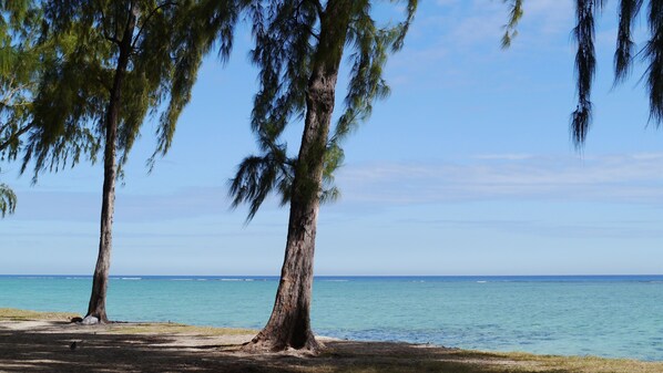 Der Strand & das Meer