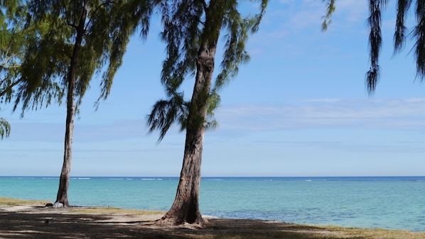 La plage et la mer