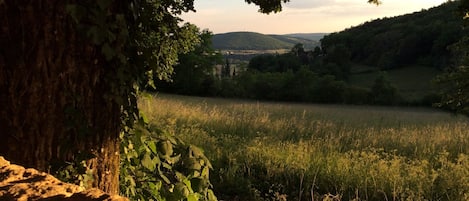 vue sur la vallée de la dordogne