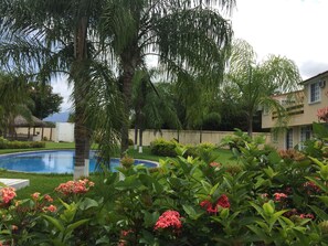 Gardens surrounding pool area