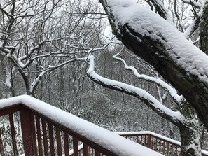 View from the porch upstairs off queen bedroom 