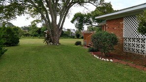Side view of yard