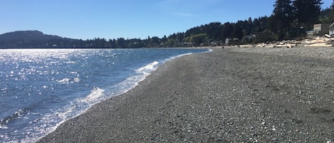 Cordova Bay Beach across the street and a short walk from the house. 