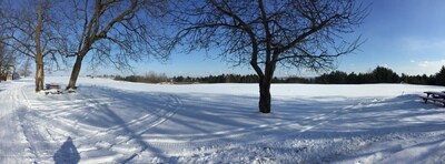 Country Cabin for Stays - WE ACCEPT BOOKINGS - Near Toronto Newmarket