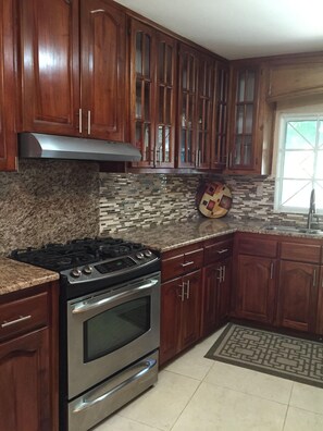 Beautiful mahogany kitchen with modern appliances