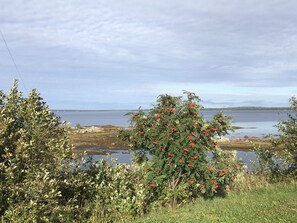 View from Great Room