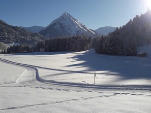 Sports d’hiver