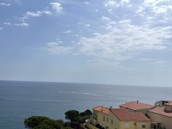Beach/ocean view