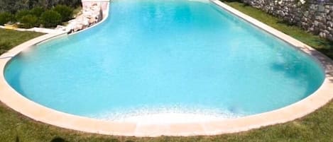 The pool looking east and the olive trees. Piscina (vista levante) ulivi e rose.