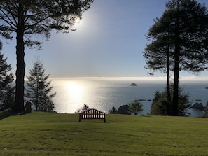 Sit and soak up the serenity of majestic ocean views from the red bench on the bluff.