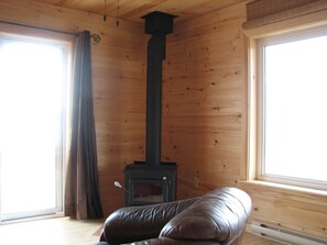 Wood stove in living room