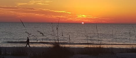 Don't miss a sunset! Experience Lido's sunset as the sun dips below the Gulf!