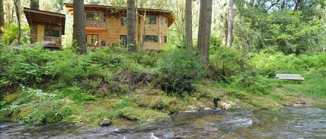 View from across Glenn Creek, hammock on the left,