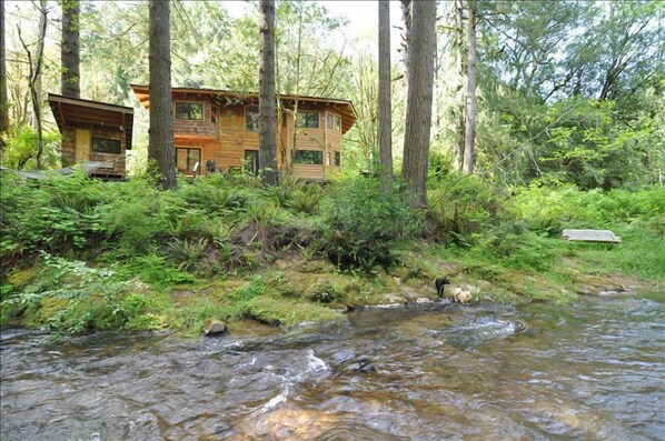 View from across Glenn Creek, hammock on the left,