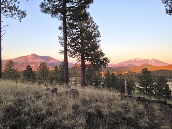 Mt Kendrick (left) San Francisco Peaks (rt) view from hill behind house