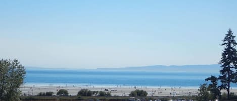 Low tide is amazing at White Rock & you can walk for miles & enjoy beach combing