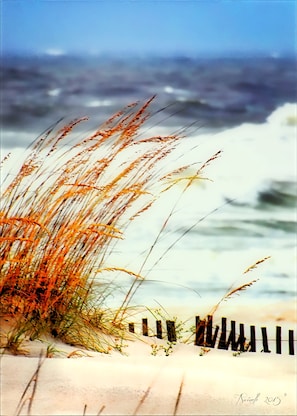 Plage