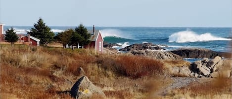 wave watching right at the house