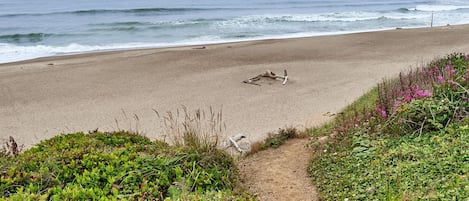 Beach view