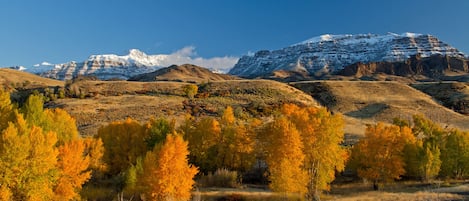 The spectacular Wapiti Valley in all its autumn splendor. 