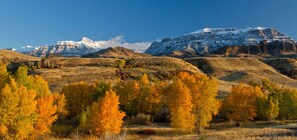 The spectacular Wapiti Valley in all its autumn splendor. 