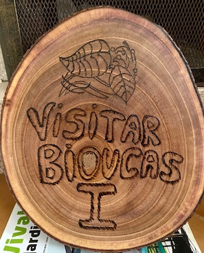 Bem Vindo!