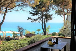 Vista dalla camera
