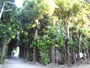 View from property