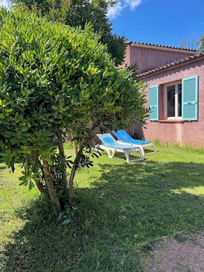 Garden view