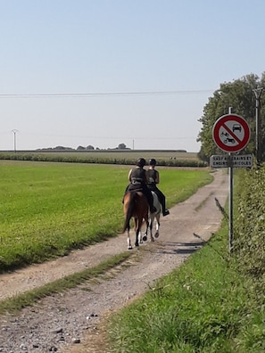 Nicht klassifiziertes Bild, 2 von 13, Schaltfläche