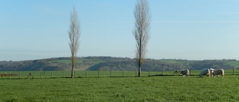 Terrenos do alojamento