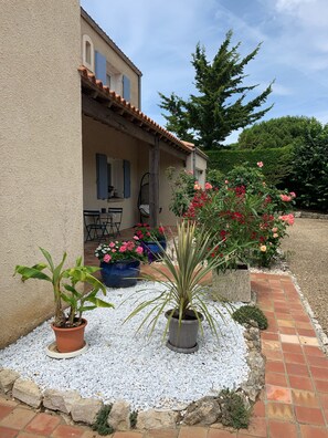Front garden 