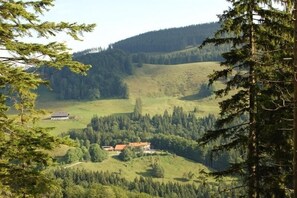 Berggasthaus Steinberg-Alm inkl. Chiemgaukarte (DE Ruhpolding) - Haßlberger Franz - 2126-Panorama und Natur rund um unser Haus