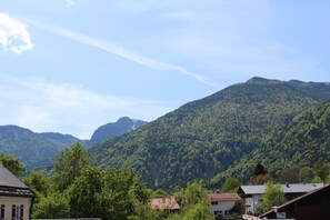 Ferienwohnung Bergsteiger mit drei Schlafzimmern-Blick vom Balkon