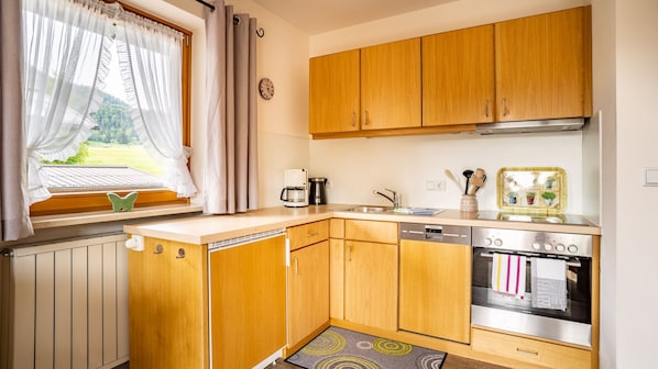 Zwei-Raum-Wohnung (7) Haus Resi, 50qm, Extra-Schlafzimmer, Küchenzeile, Balkon