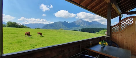 Ferienwohnung Predigtstuhl 37 qm, 1 Schlafzimmer, Wohnküche, Balkon-Blick vom Balkon