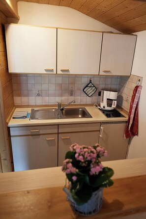 Ferienwohnung 45qm, Balkon, Kochnische, 1 Schlafzimmer, 1 Wohnschlafzimmer, WLAN-Küche