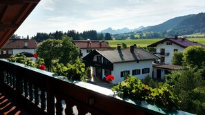 Ferienwohnung 2, 56 qm, Balkon und extra Küche-der Ausblick