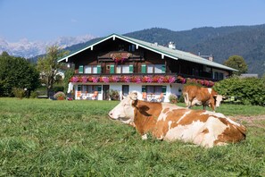 Ferienwohnung Drachllehen (DE Schönau am Königssee) - Hinterbrandner Christian - 37261-Haus mit Kuh