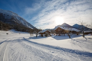 Snow and ski sports