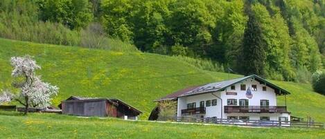 Ferienwohnung Berchtesgaden, 1-2 Personen, 55 qm, Terrasse, W-LAN, TV-Haus Holzenlehen in Ramsau bei Berchtesgaden