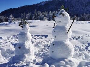 Snow and ski sports