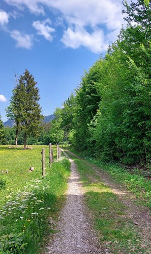 Ferienwohnung- 3 Personen, 40qm, 1 Schlafzimmer,  Balkon, WLAN-Wanderwege in schönster Umgebung