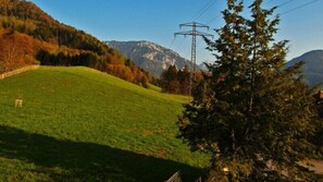 Ferienwohnung Griese-Heß (DE Ruhpolding) - Griese Martina - 1236-Aussicht auf die Berge