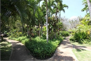 Lovely shady paths and beautiful lush gardens