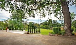 Famous Swing under the oak tree