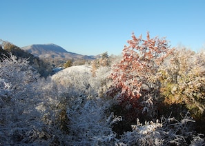 Winter sparkle