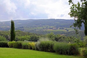 Garden, Scenic View