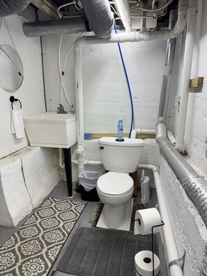 Half Bath in Laundry Room Downstairs